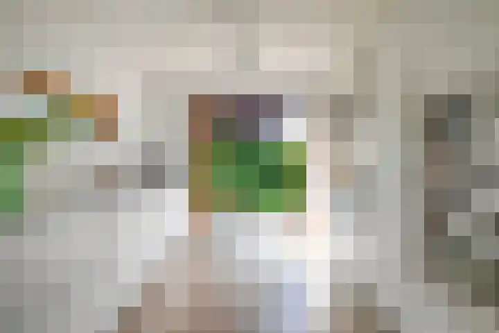 Gaaghof 3 Pijnacker thumbnail 15