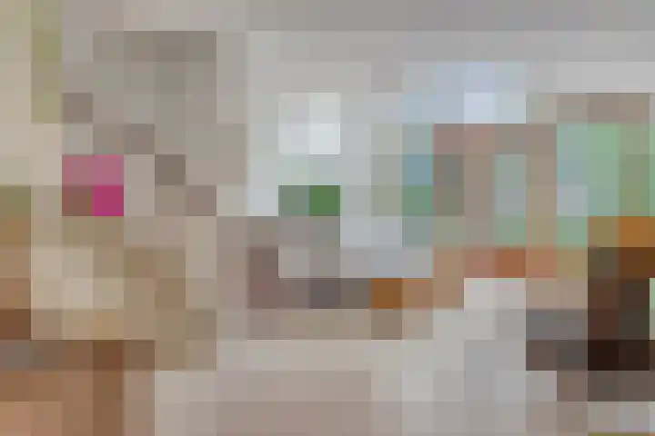 Gaaghof 3 Pijnacker thumbnail 18