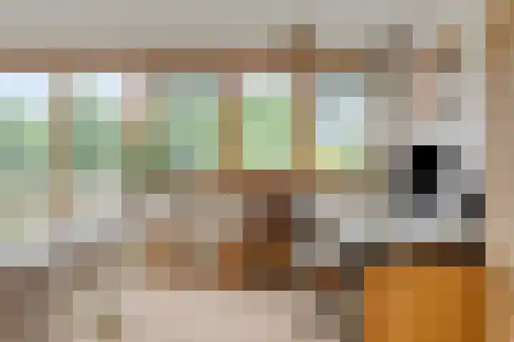Gaaghof 3 Pijnacker thumbnail 21