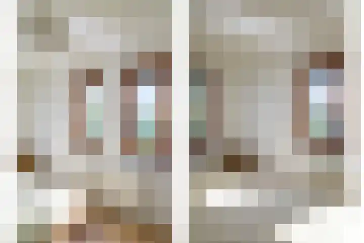 Gaaghof 3 Pijnacker thumbnail 29