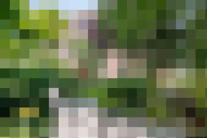 Gaaghof 3 Pijnacker thumbnail 31
