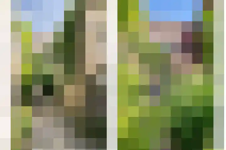 Gaaghof 3 Pijnacker thumbnail 32