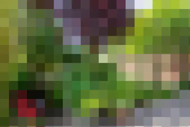 Gaaghof 3 Pijnacker thumbnail 33