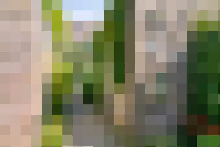 Gaaghof 3 Pijnacker thumbnail 6