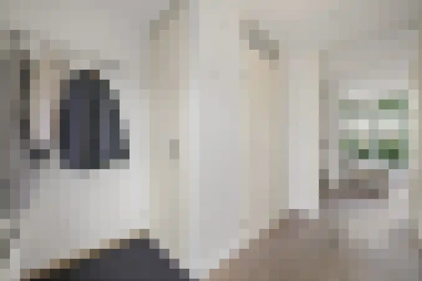 Gaaghof 9 Pijnacker thumbnail 11