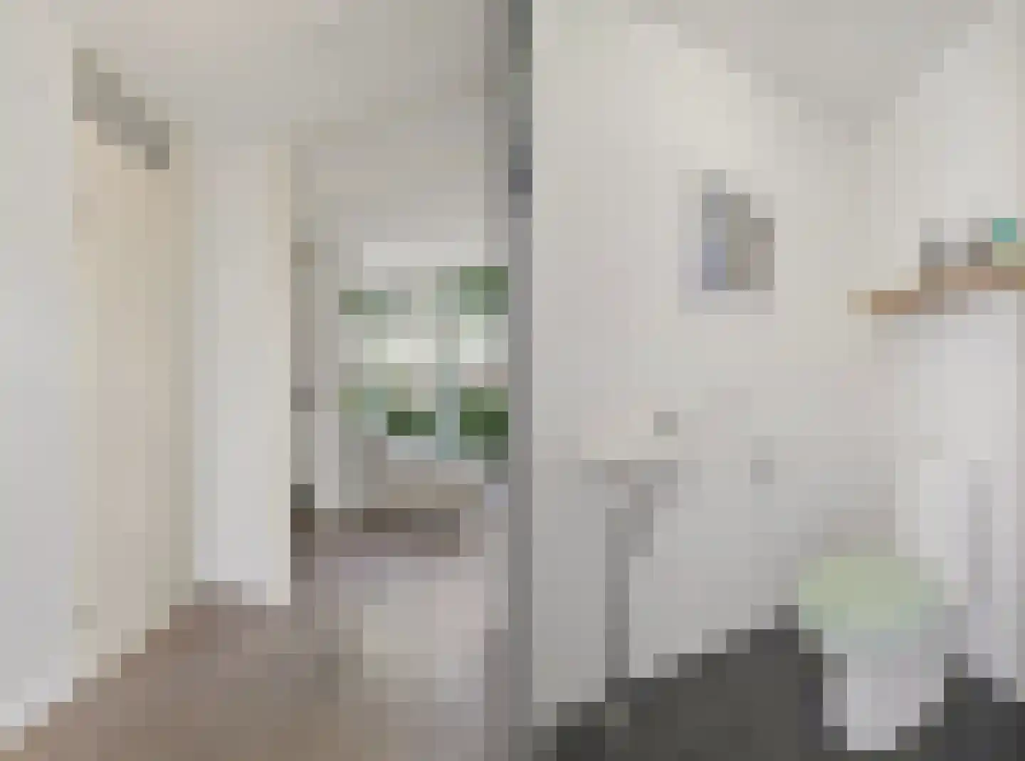 Gaaghof 9 Pijnacker thumbnail 13