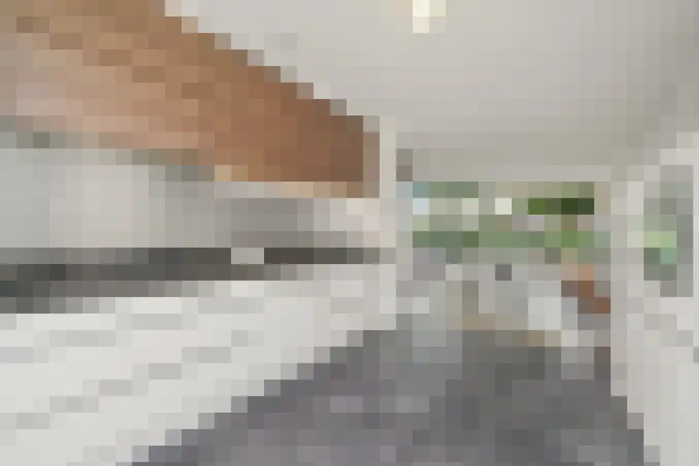 Gaaghof 9 Pijnacker thumbnail 16