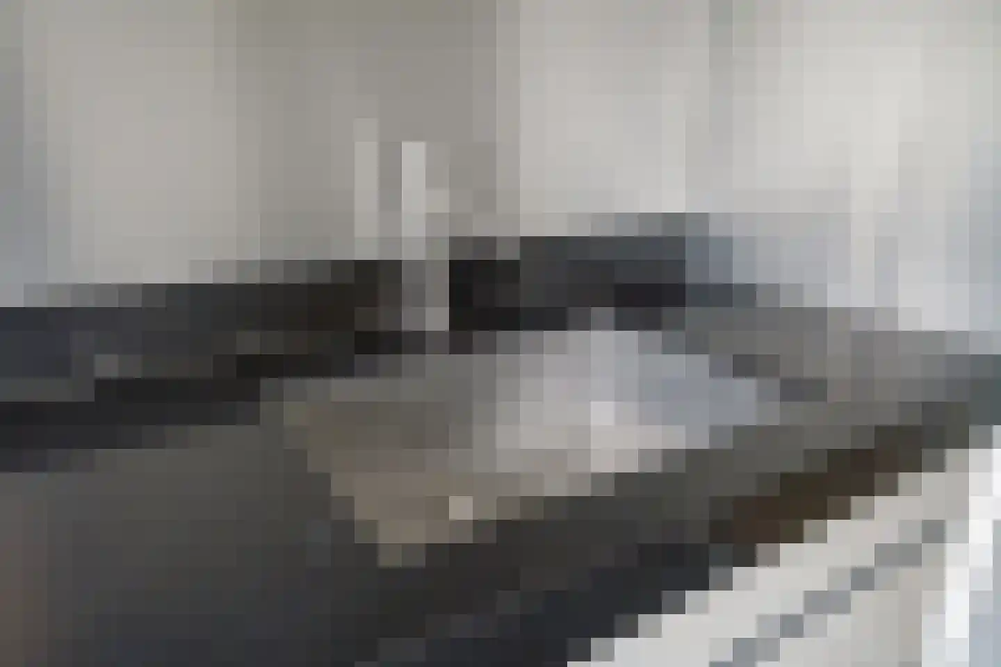 Gaaghof 9 Pijnacker thumbnail 17