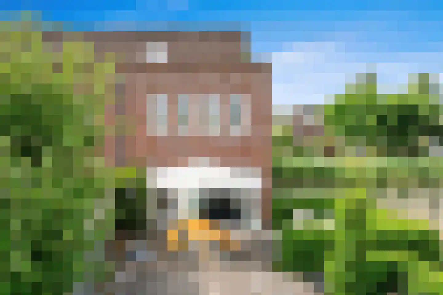 Gaaghof 9 Pijnacker thumbnail 25