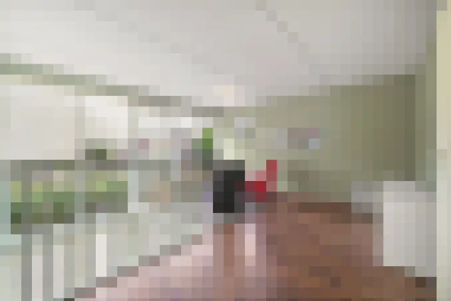 Gaaghof 9 Pijnacker thumbnail 32