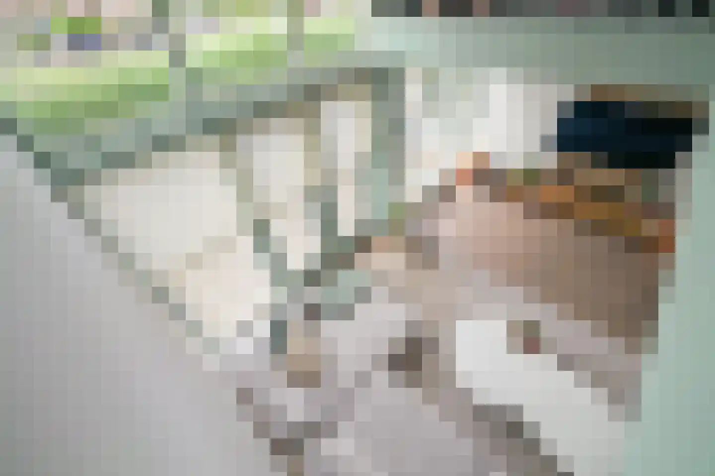 Gaaghof 9 Pijnacker thumbnail 35