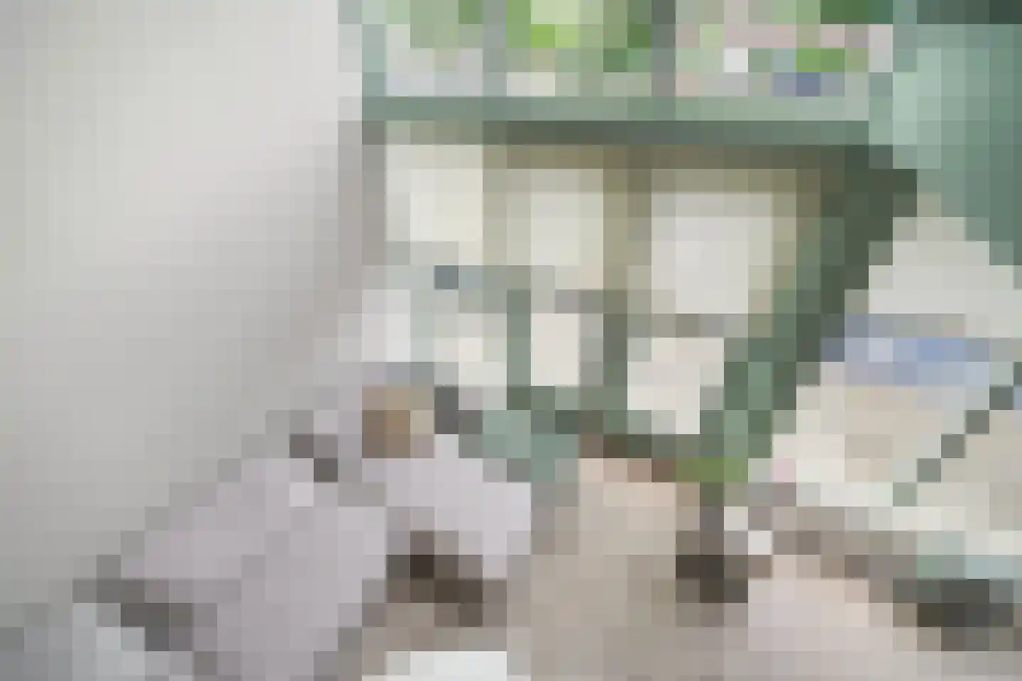 Gaaghof 9 Pijnacker thumbnail 36