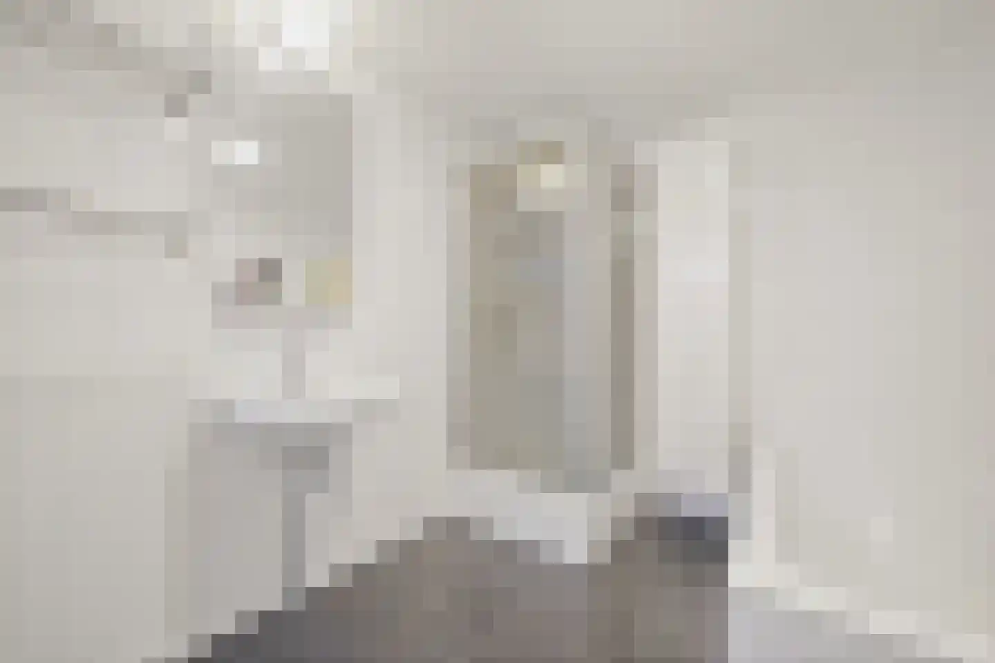 Gaaghof 9 Pijnacker thumbnail 38