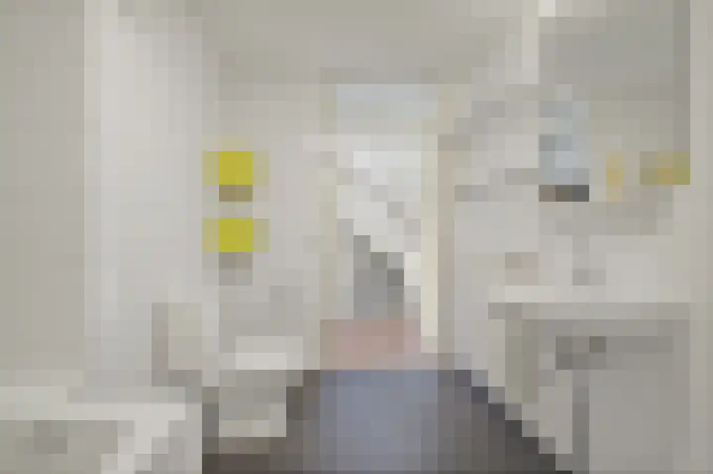 Gaaghof 9 Pijnacker thumbnail 39
