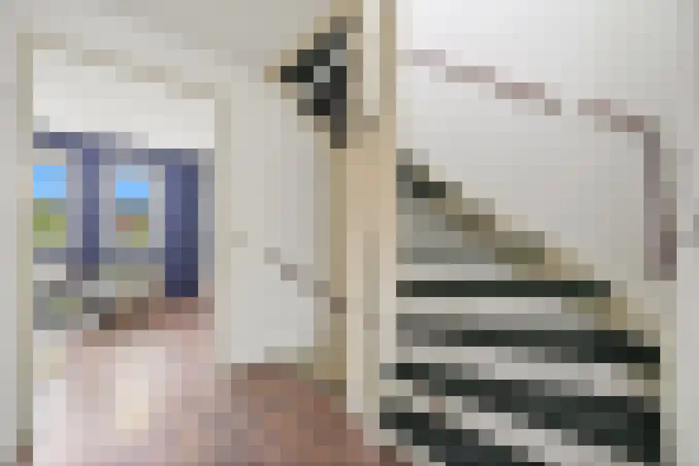 Gaaghof 9 Pijnacker thumbnail 40