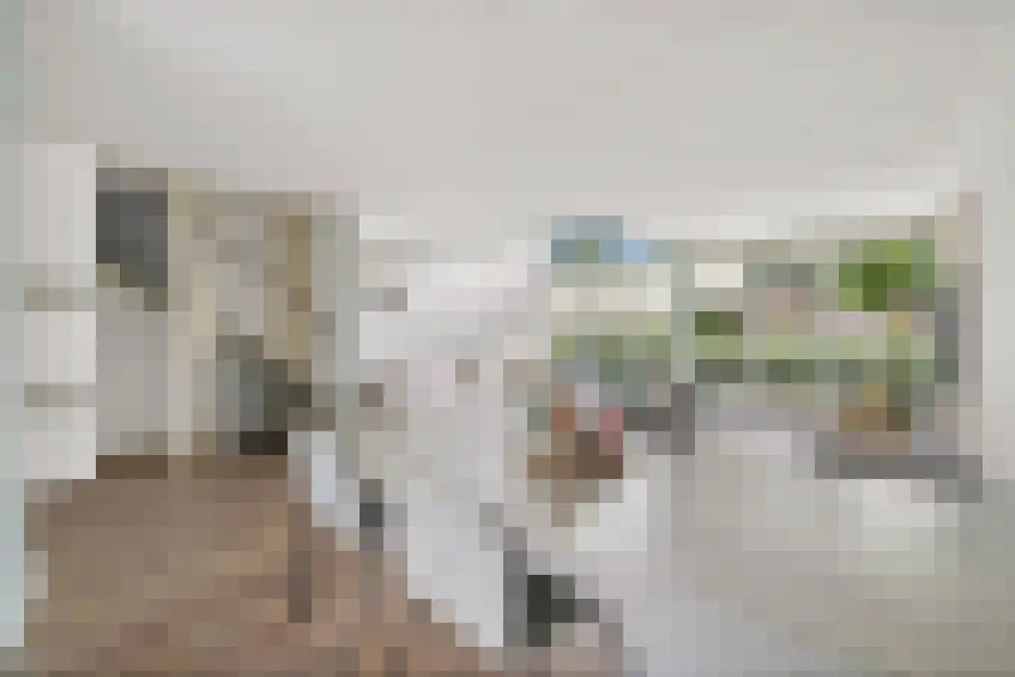 Gaaghof 9 Pijnacker thumbnail 9