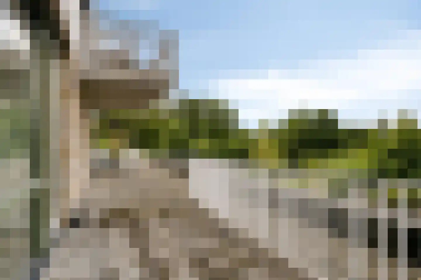Gaaibank 8 Best thumbnail 18