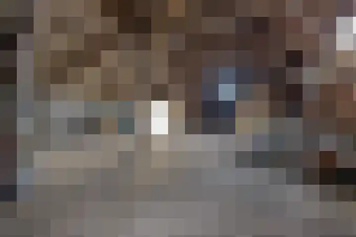 Gaaikemastraat 34 Balk thumbnail 42
