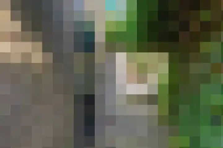 Gaaikemastraat 34 Balk thumbnail 44