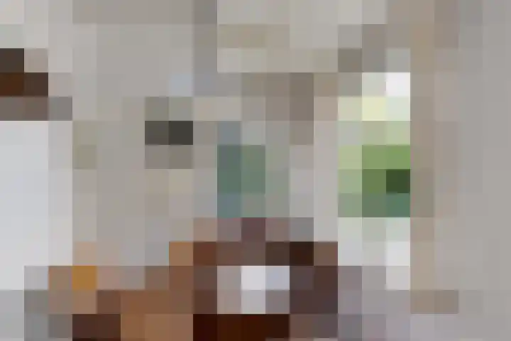 Gaaikemastraat 34 Balk thumbnail 7