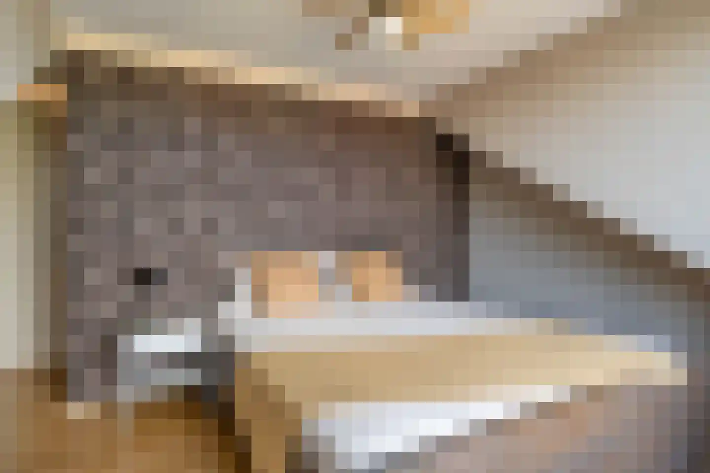 Gaaikemastraat 46 A Balk thumbnail 44
