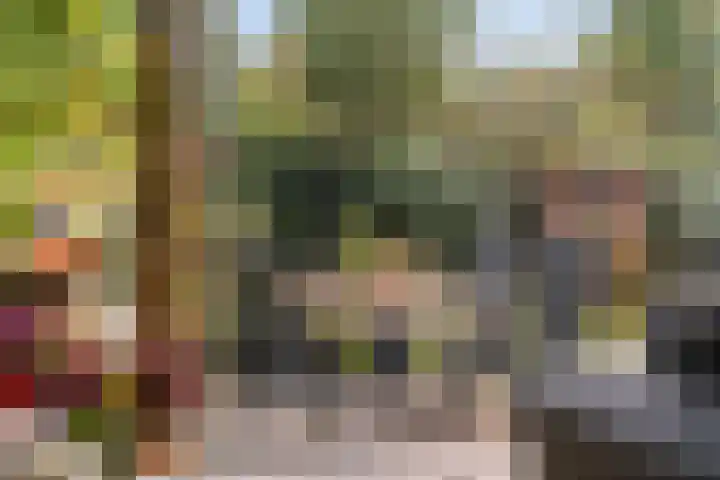 Gaailaan 4 Bilthoven thumbnail 13