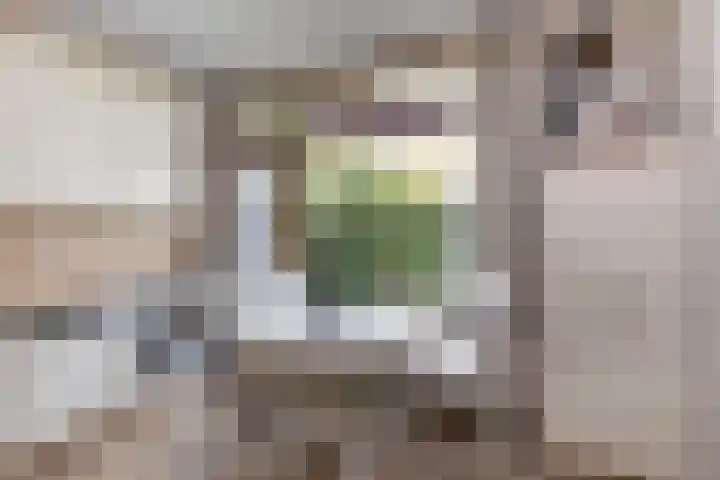 Gaailaan 4 Bilthoven thumbnail 18