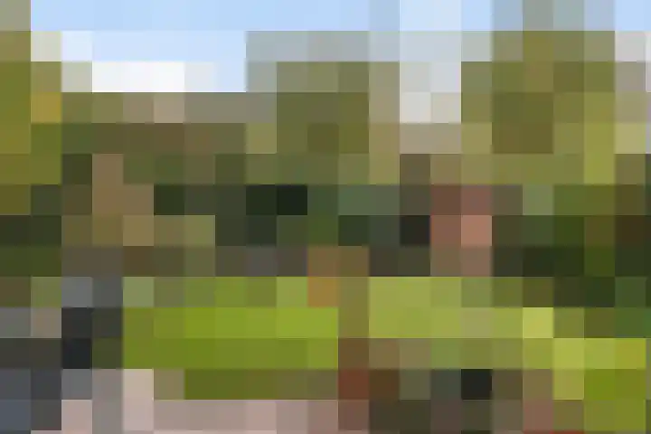 Gaailaan 4 Bilthoven thumbnail 19