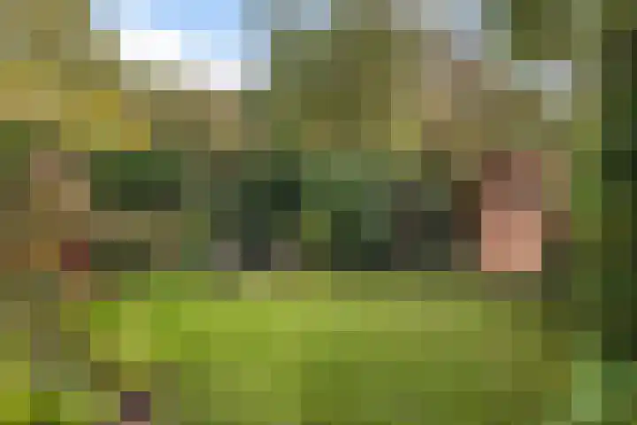 Gaailaan 4 Bilthoven thumbnail 20