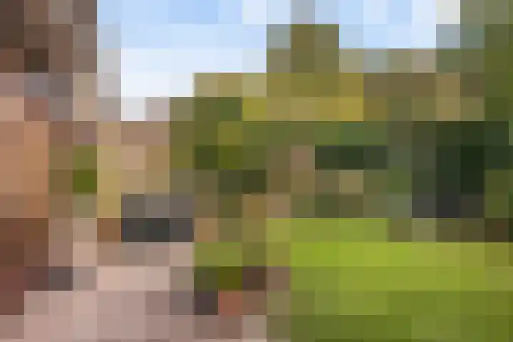 Gaailaan 4 Bilthoven thumbnail 21