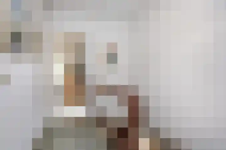 Gaailaan 4 Bilthoven thumbnail 25