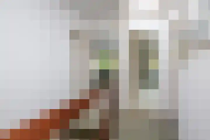 Gaailaan 4 Bilthoven thumbnail 26
