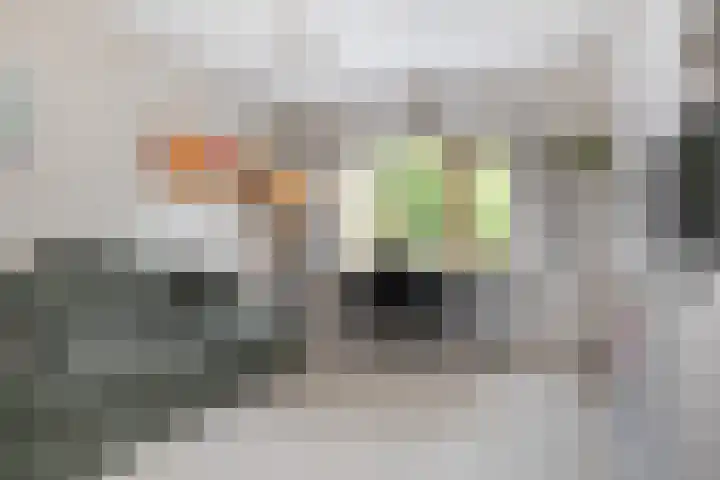 Gaailaan 4 Bilthoven thumbnail 28