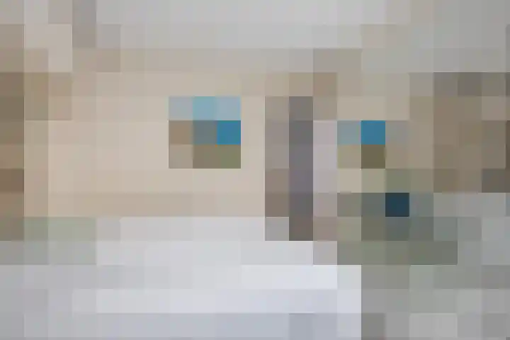 Gaailaan 4 Bilthoven thumbnail 31