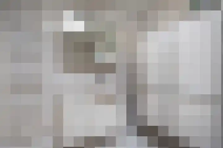 Gaailaan 4 Bilthoven thumbnail 34