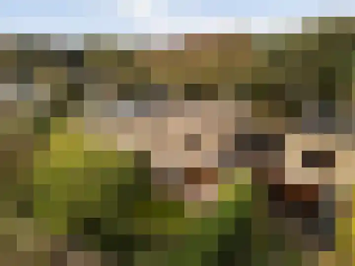 Gaailaan 4 Bilthoven thumbnail 37
