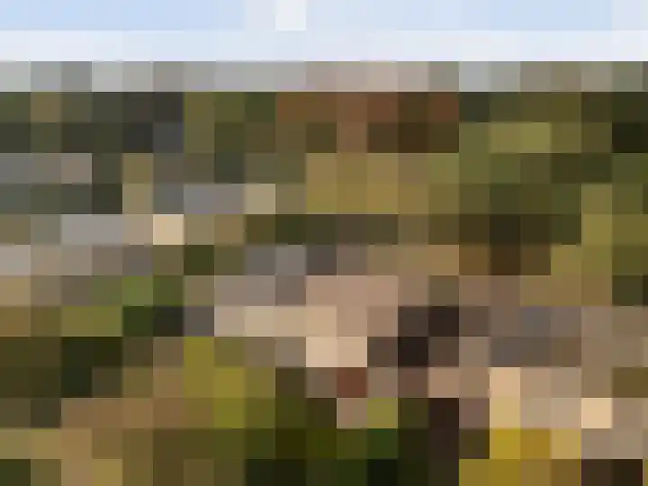 Gaailaan 4 Bilthoven thumbnail 38