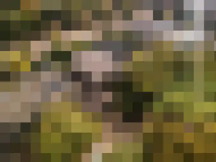 Gaailaan 4 Bilthoven thumbnail 39