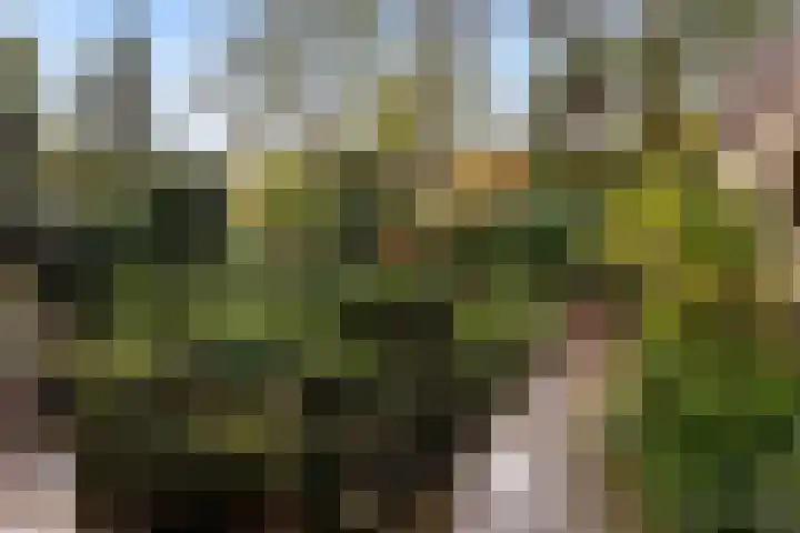 Gaailaan 4 Bilthoven thumbnail 44