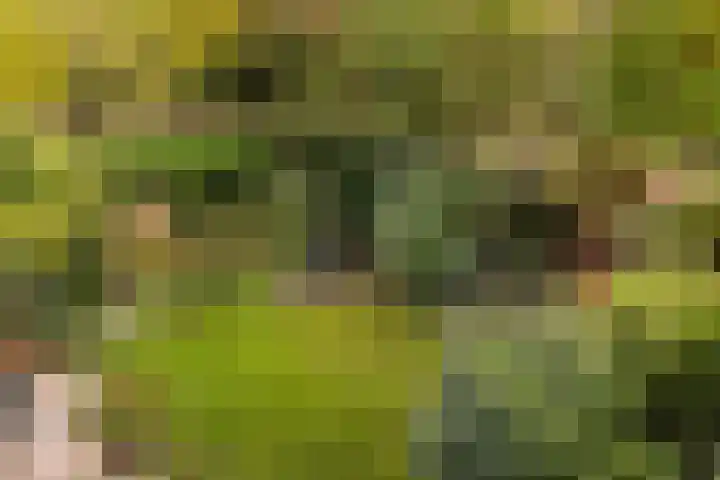 Gaailaan 4 Bilthoven thumbnail 45