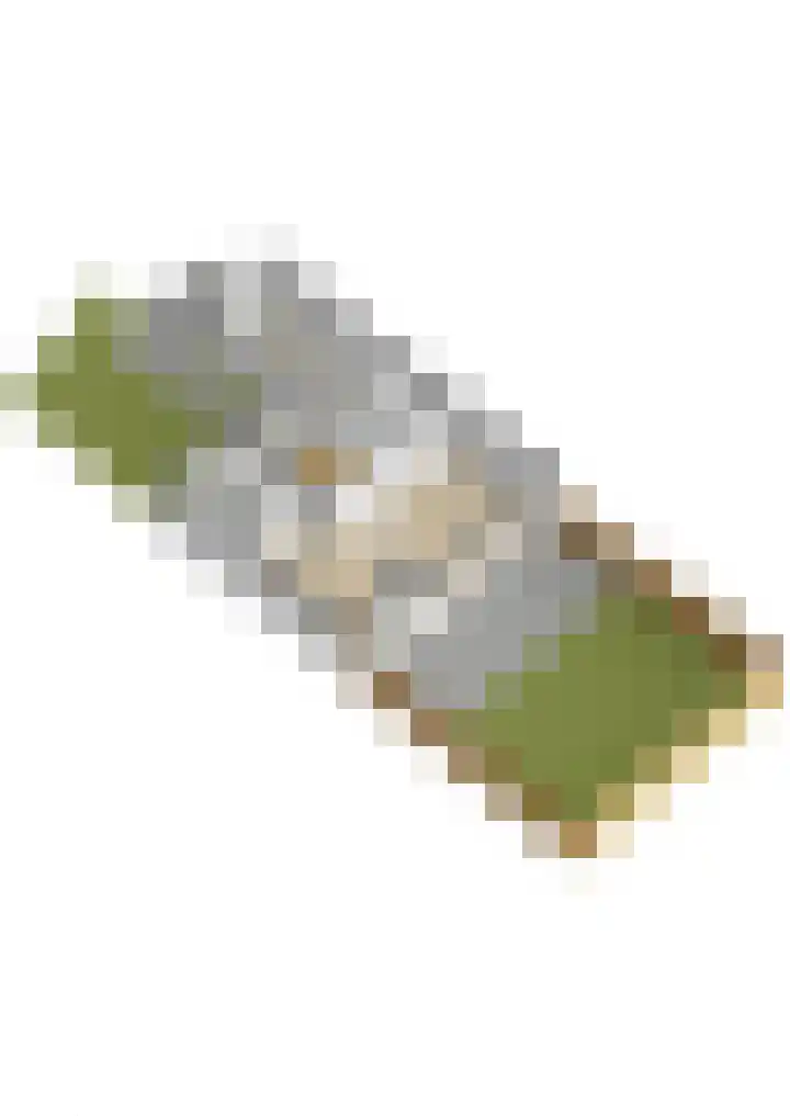 Gaailaan 4 Bilthoven thumbnail 54