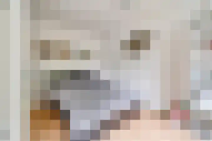 Gaailaan 8 Bilthoven thumbnail 27