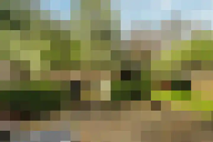 Gaailaan 8 Bilthoven thumbnail 34