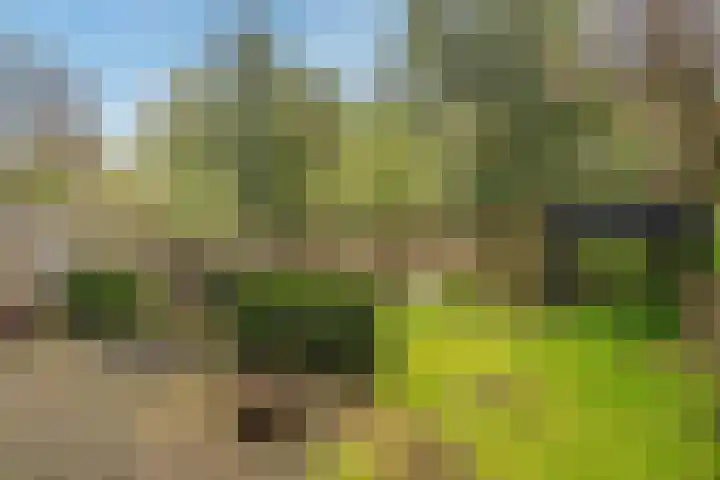 Gaailaan 8 Bilthoven thumbnail 35