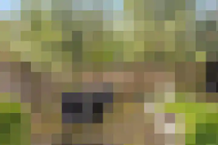 Gaailaan 8 Bilthoven thumbnail 36