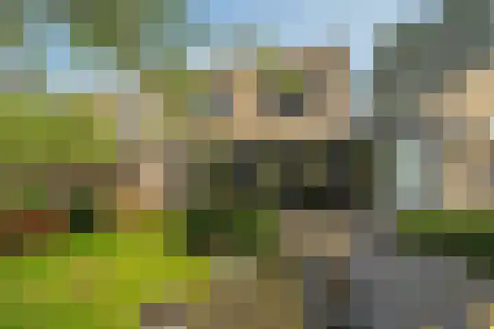Gaailaan 8 Bilthoven thumbnail 37
