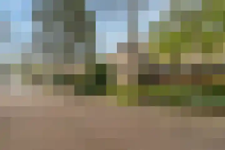 Gaailaan 8 Bilthoven thumbnail 41