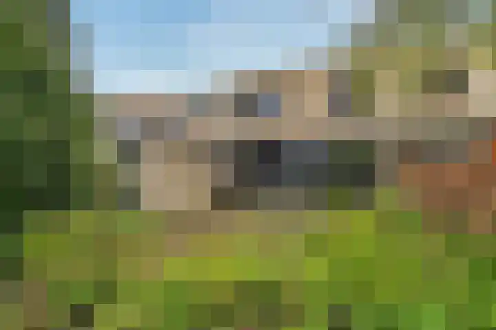 Gaailaan 8 Bilthoven thumbnail 42