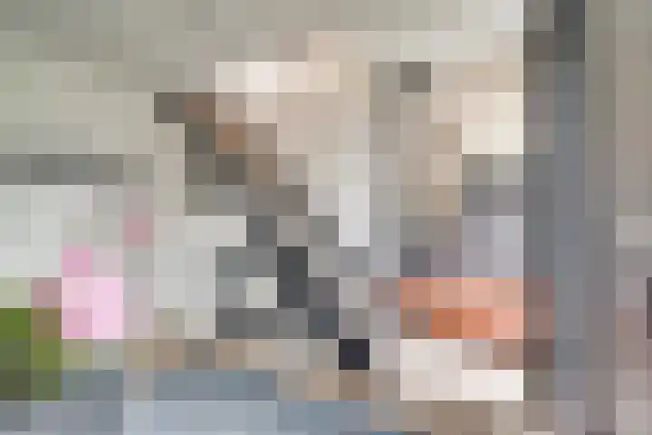 Gaailaan 8 Bilthoven thumbnail 6