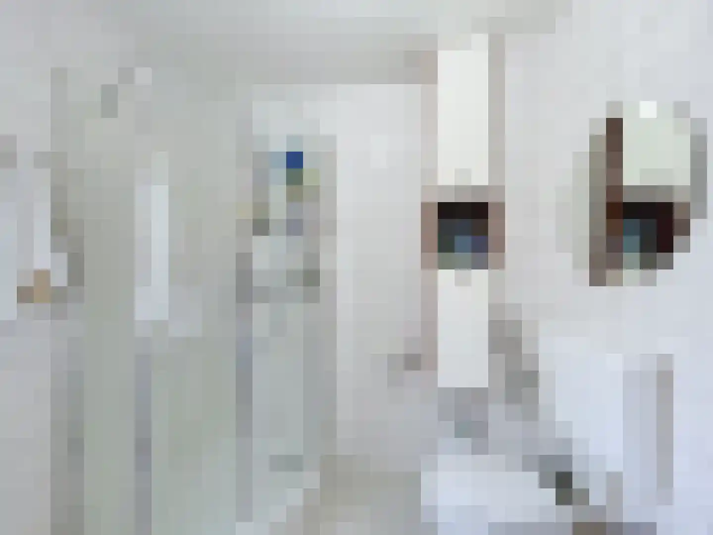 Gaaipersstraat 2 IJzendijke thumbnail 17